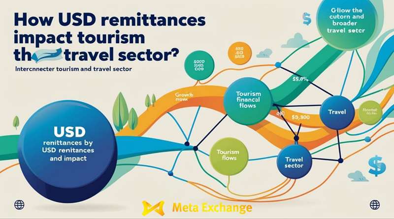 How USD Remittances Influence Tourism and the Broader Travel Sector