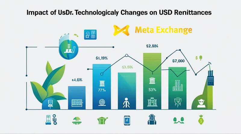 The Impact of Technological Changes on USD Remittances